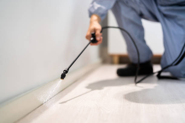 Licensed Cockroach Control service in Waterloo, IL - Nex Pest Control