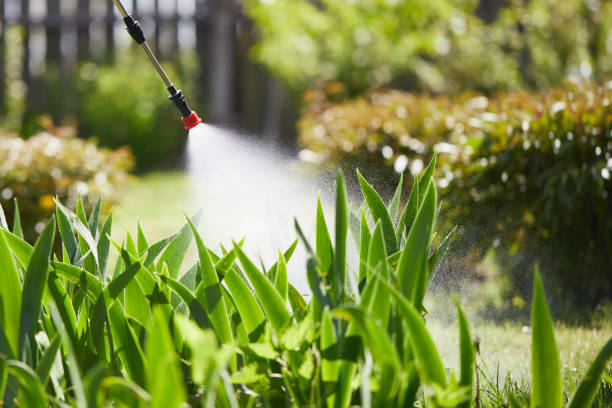 24/7 Emergency Cockroach Control experts in Waterloo, IL