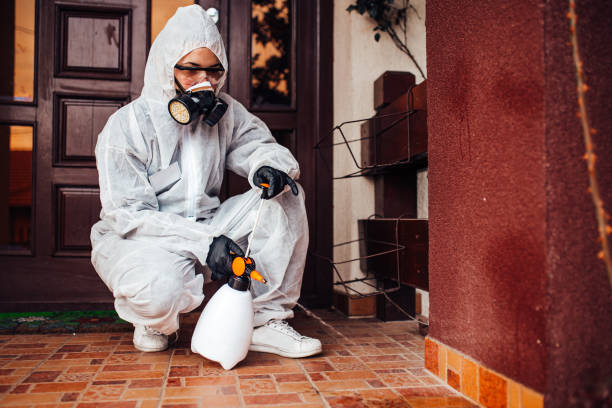 Reliable Cockroach Control contractor in Waterloo, IL by Nex Pest Control