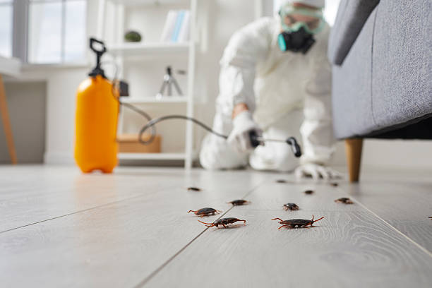 Trusted Termite Control service in Waterloo, IL - Nex Pest Control
